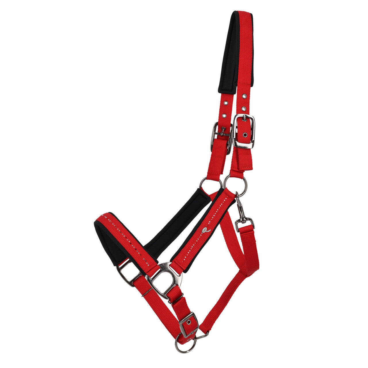 Cabezada de cuadra Head collar Oakleigh QHP para equitación - vista 13