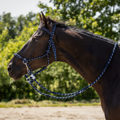Cabezada de cuadra Rope halter Aubree con rein QHP para equitación - vista 3