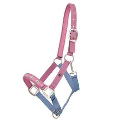 Cabezada de cuadra Head collar Rosalynn QHP para equitación - vista 17