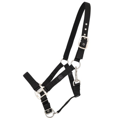 Cabezada de cuadra Head collar con forro QHP para equitación - vista 17