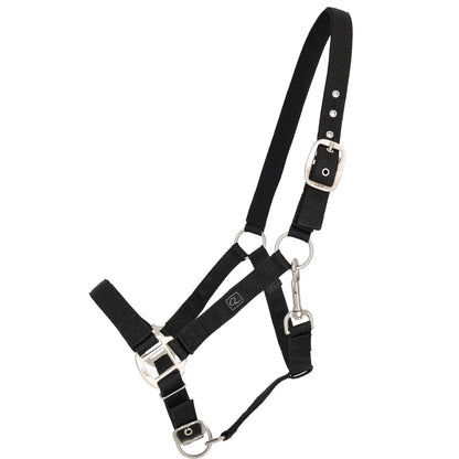 Cabezada de cuadra Head collar con forro QHP para equitación - vista 18