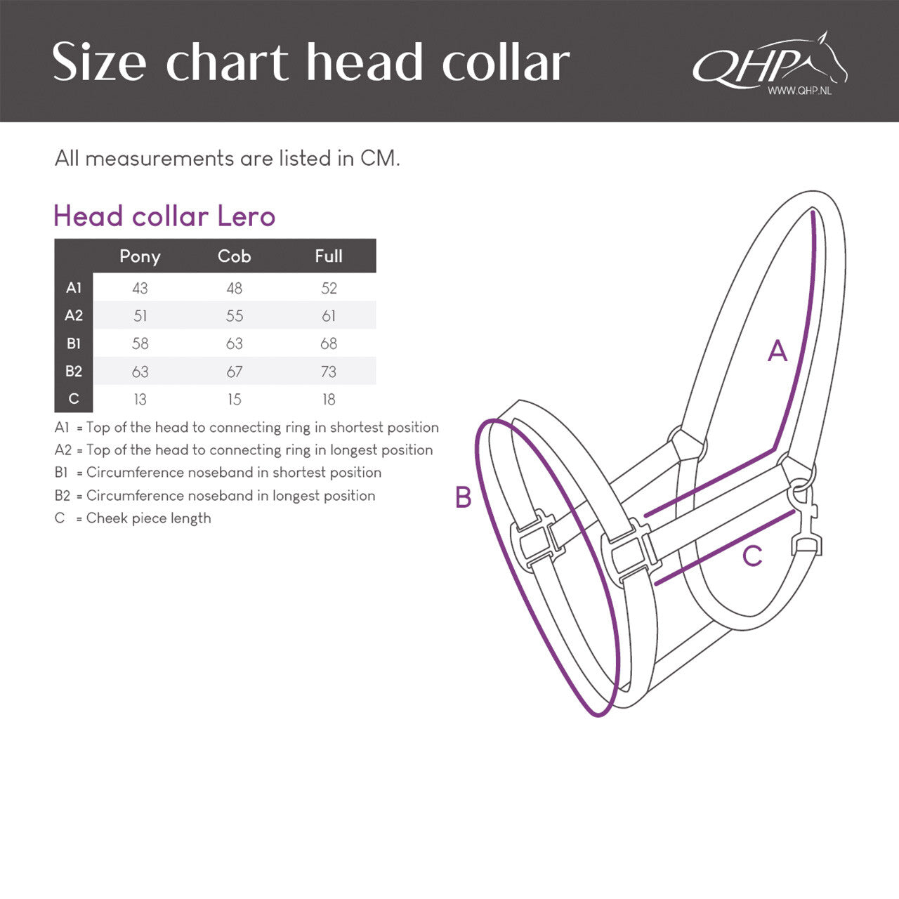Cabezada de cuadra Head collar Lero QHP para equitación - vista 3