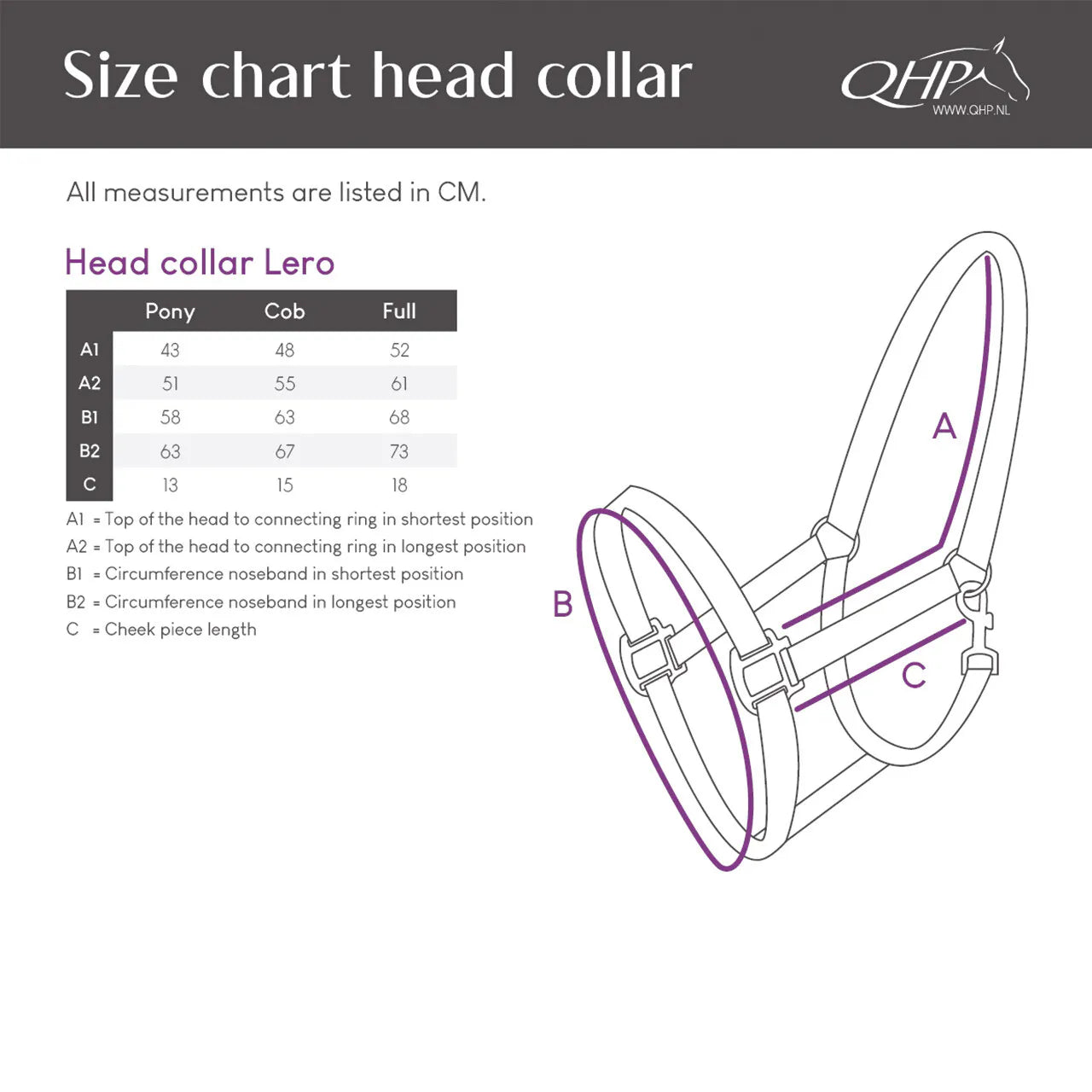 Cabezada de cuadra Head collar Lero QHP para equitación - vista 4