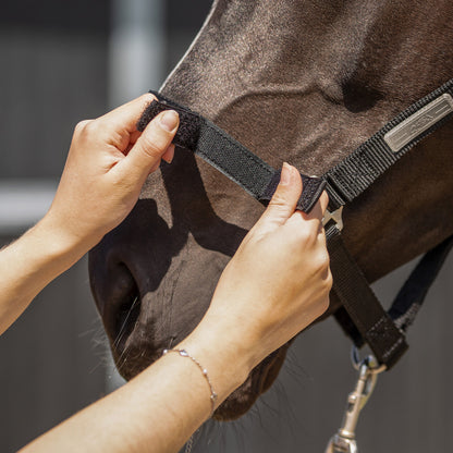 Cabezada de cuadra Tack up halter QHP para equitación