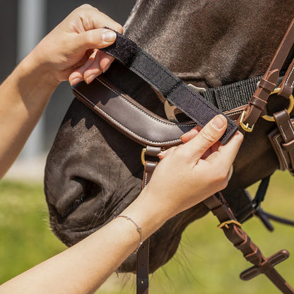 Cabezada de cuadra Tack up halter QHP para equitación - vista 4