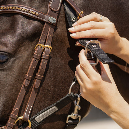 Cabezada de cuadra Tack up halter QHP para equitación - vista 7