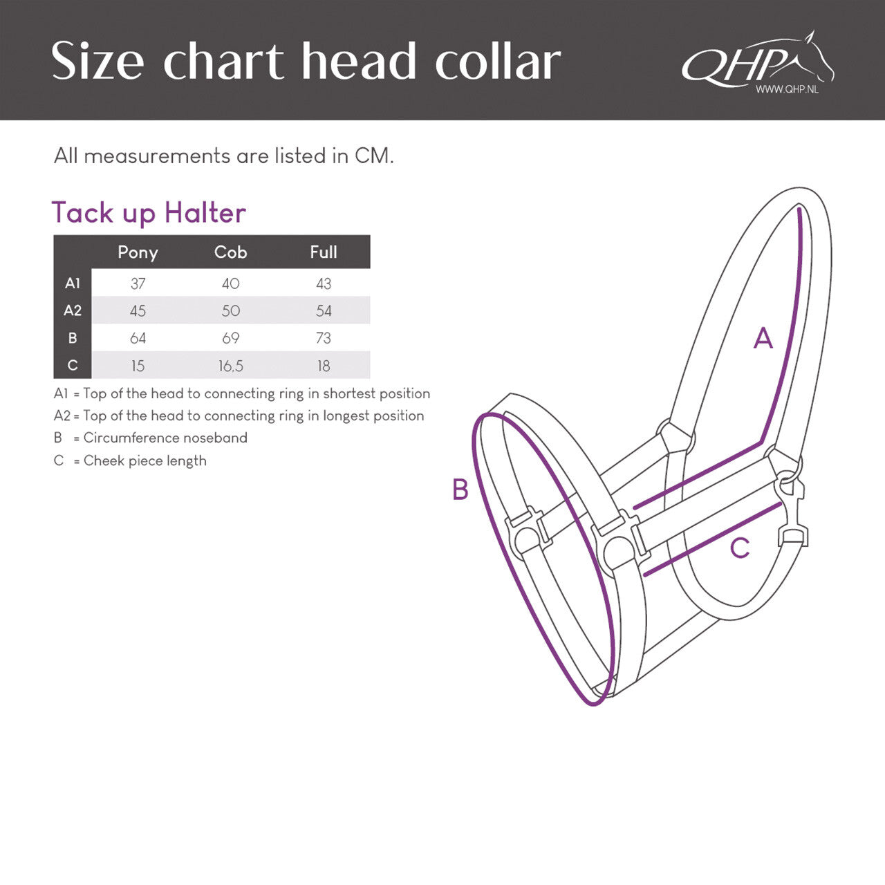 Cabezada de cuadra Tack up halter QHP para equitación - vista 9