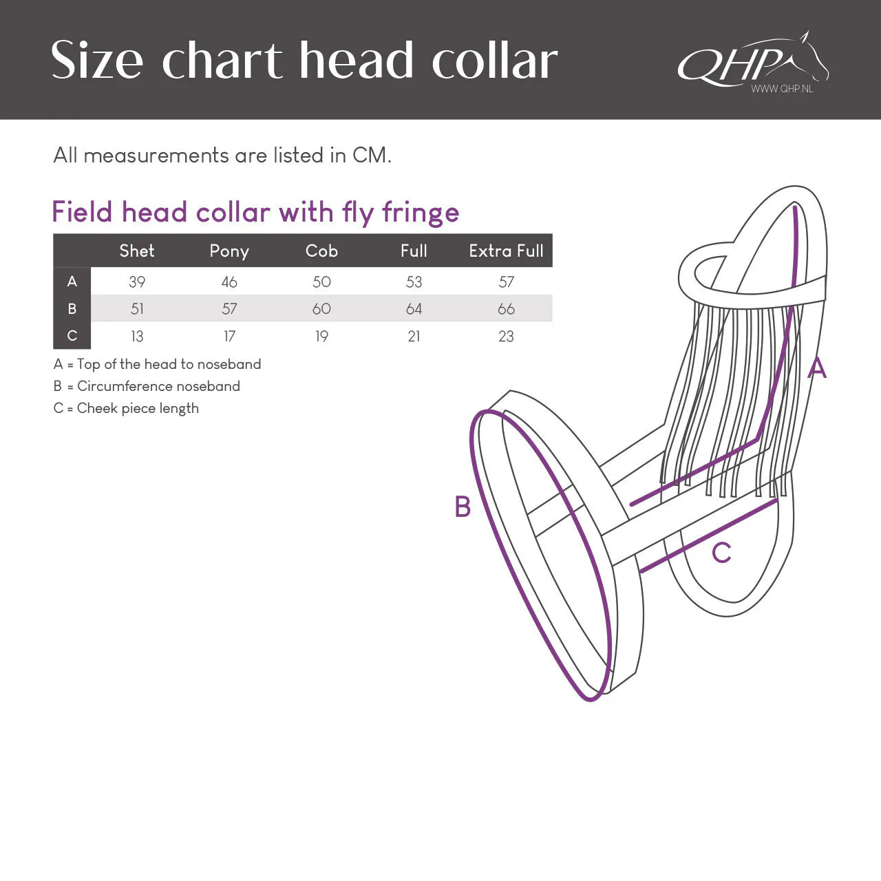 Flecos antimoscas Field head collar con fly fringe QHP para equitación - vista 4