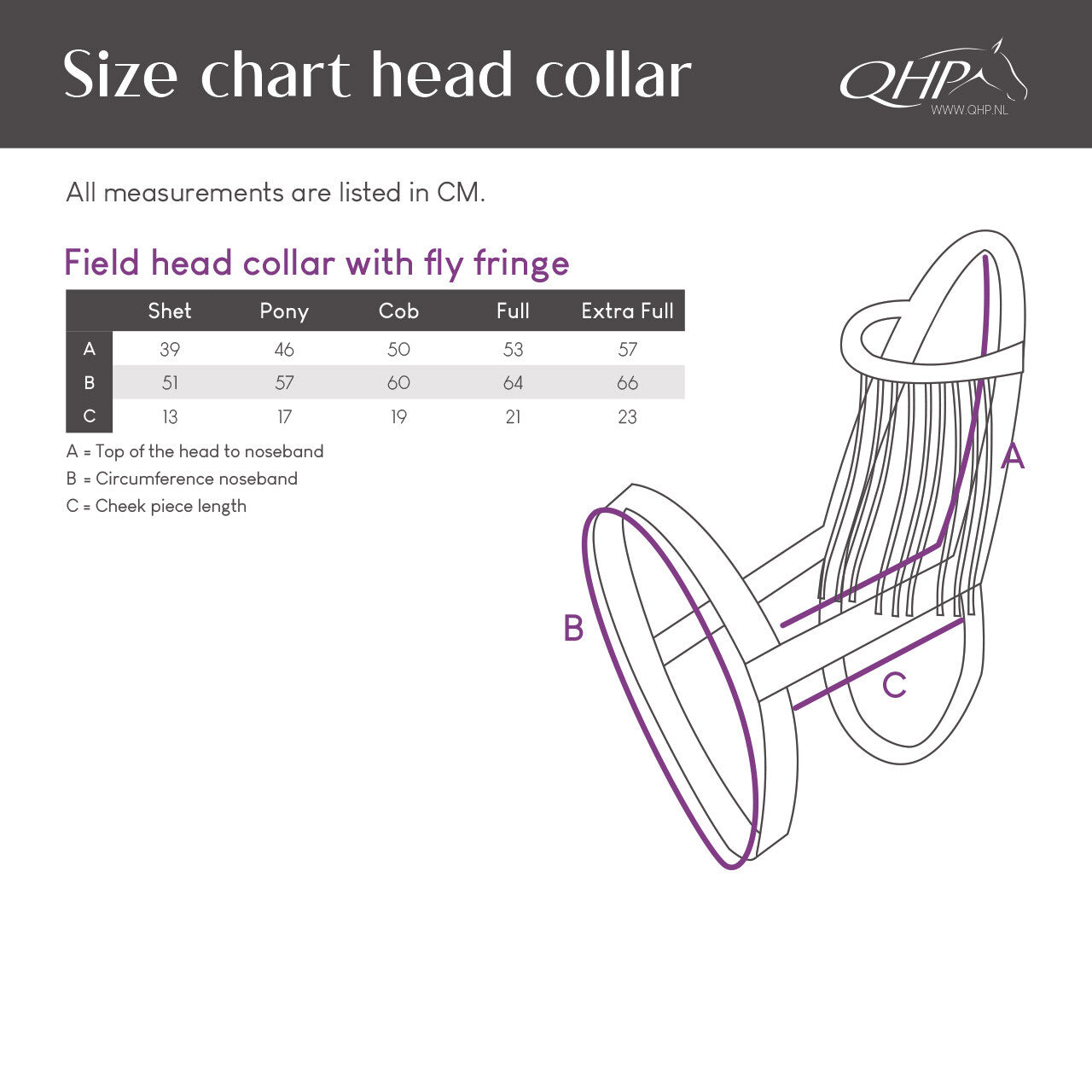 Flecos antimoscas Field head collar con fly fringe QHP para equitación - vista 9