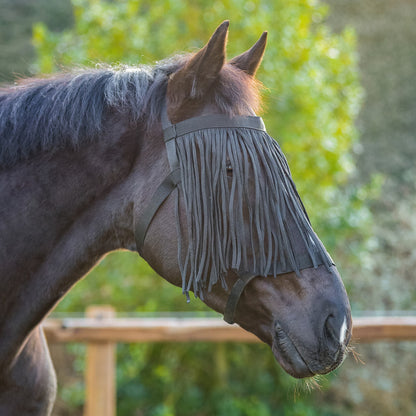 Flecos antimoscas Field head collar con fly fringe QHP para equitación - vista 5