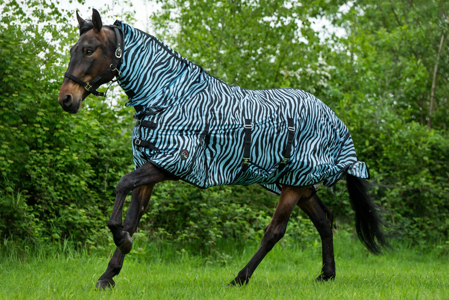 Manta Antimoscas -Zebra Aqua-