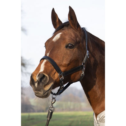 Leather Halter HKM Leather Head Collar Economic detalle 2