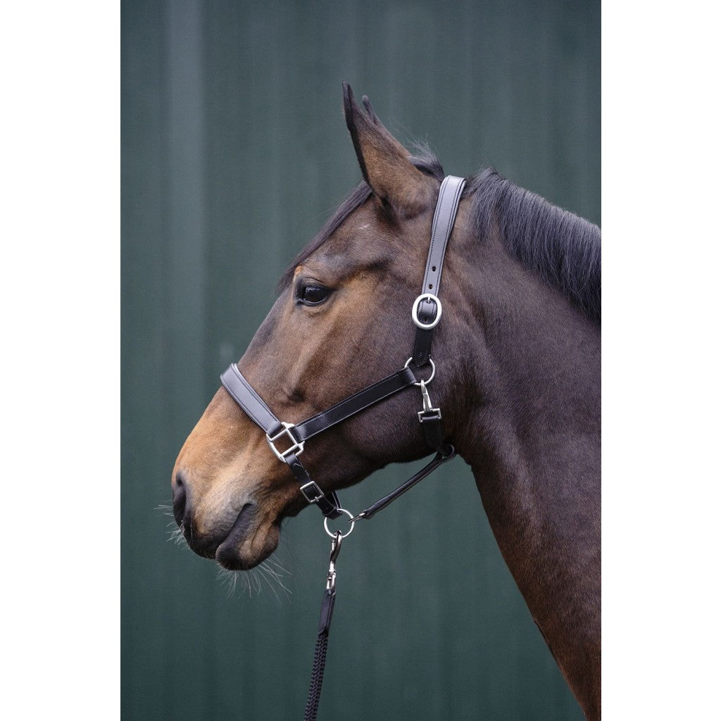 Leather Halter HKM Leather Head Collar Economic detalle 3