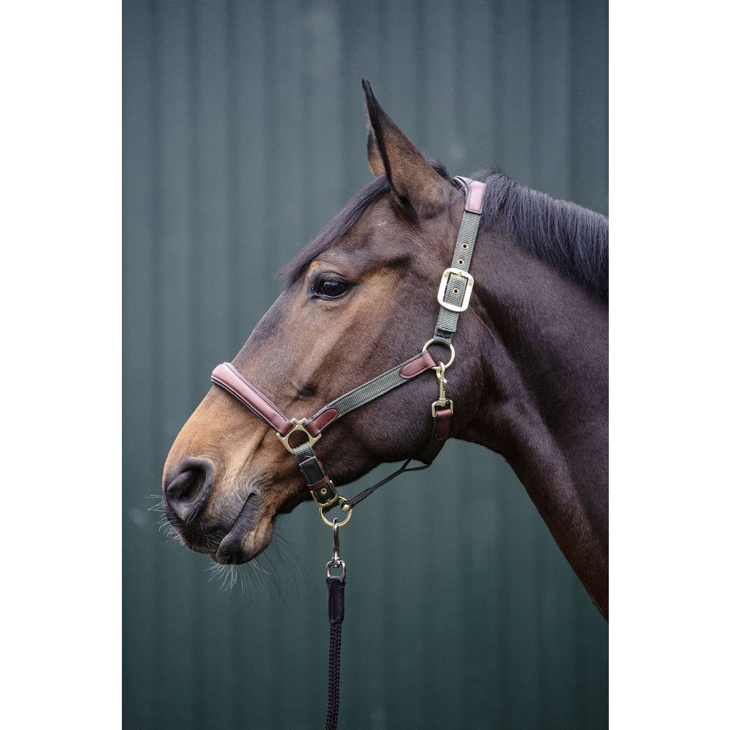 Halters HKM Head Collar Luna vista principal