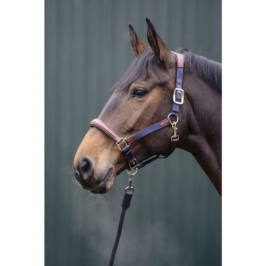 Halters HKM Head Collar Luna detalle 2