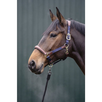 Halters HKM Head Collar Luna detalle 2