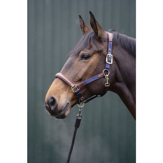 Cabezada de cuadras HKM Head Collar Luna para equitación - vista 2
