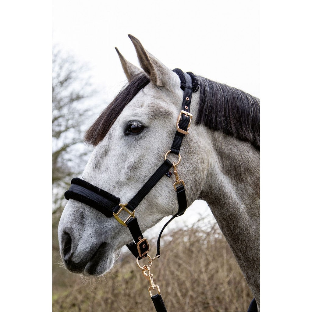 Halters HKM Style Head Collar Rosegold Glamour Style detalle 2