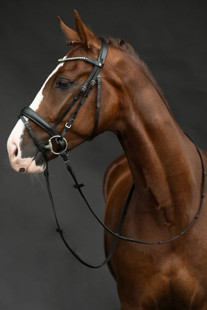 Cabezada HKM Bridle Bella detalle 2