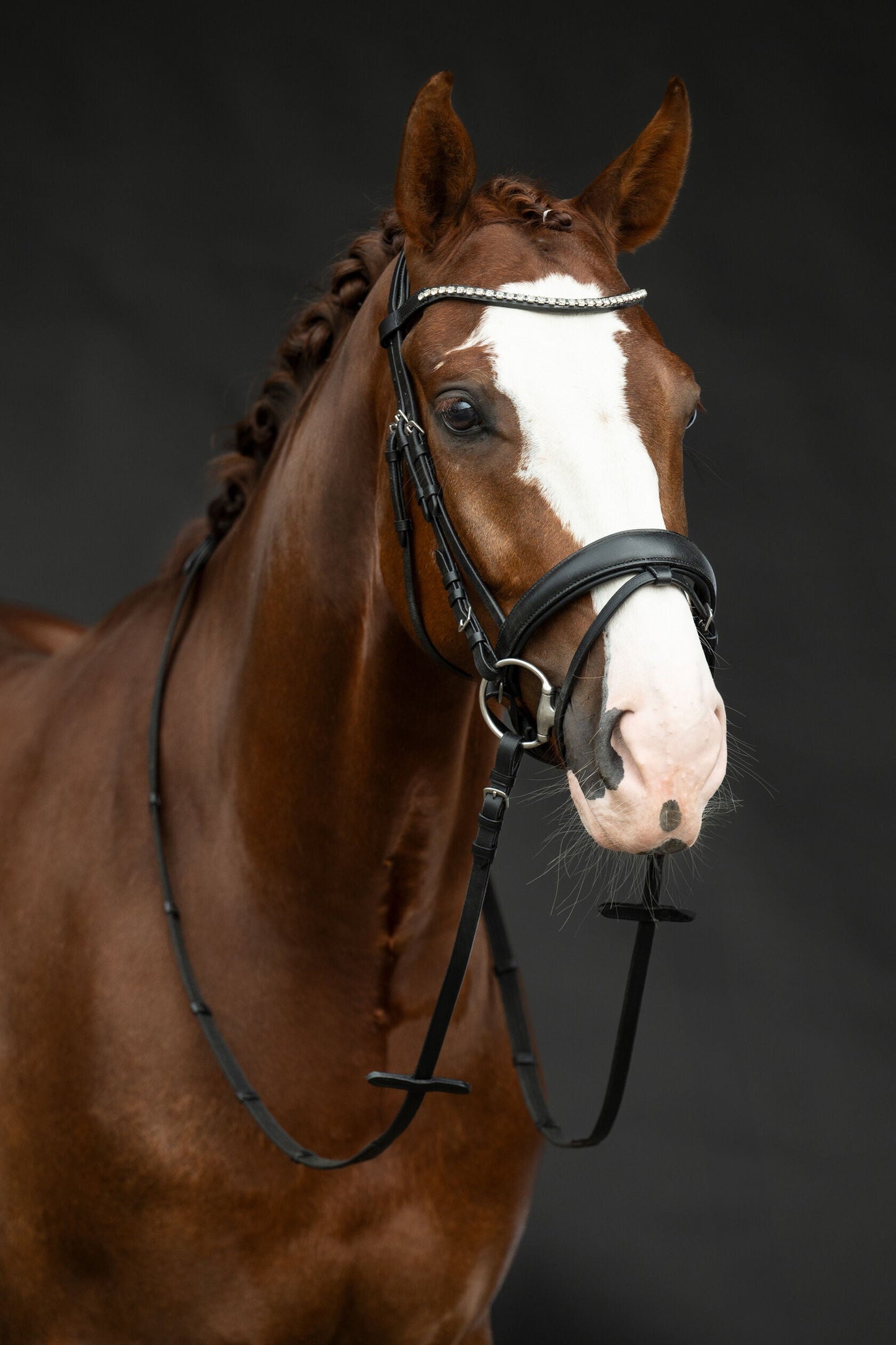 Cabezada HKM Bridle Bella vista principal