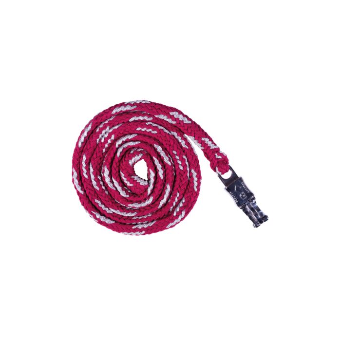 Ramal -Sweet Valentine- con mosquetón seguridad HKM rosa/plateado