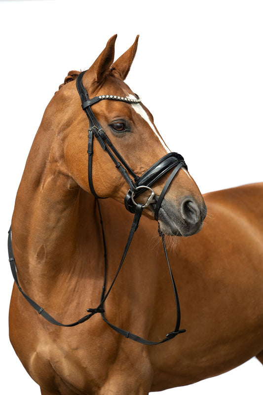 Cabezada -Fleur HKM para equitación - vista 2