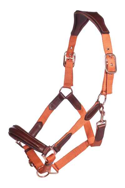 Leather Halters HKM Halter Edinburgh vista principal