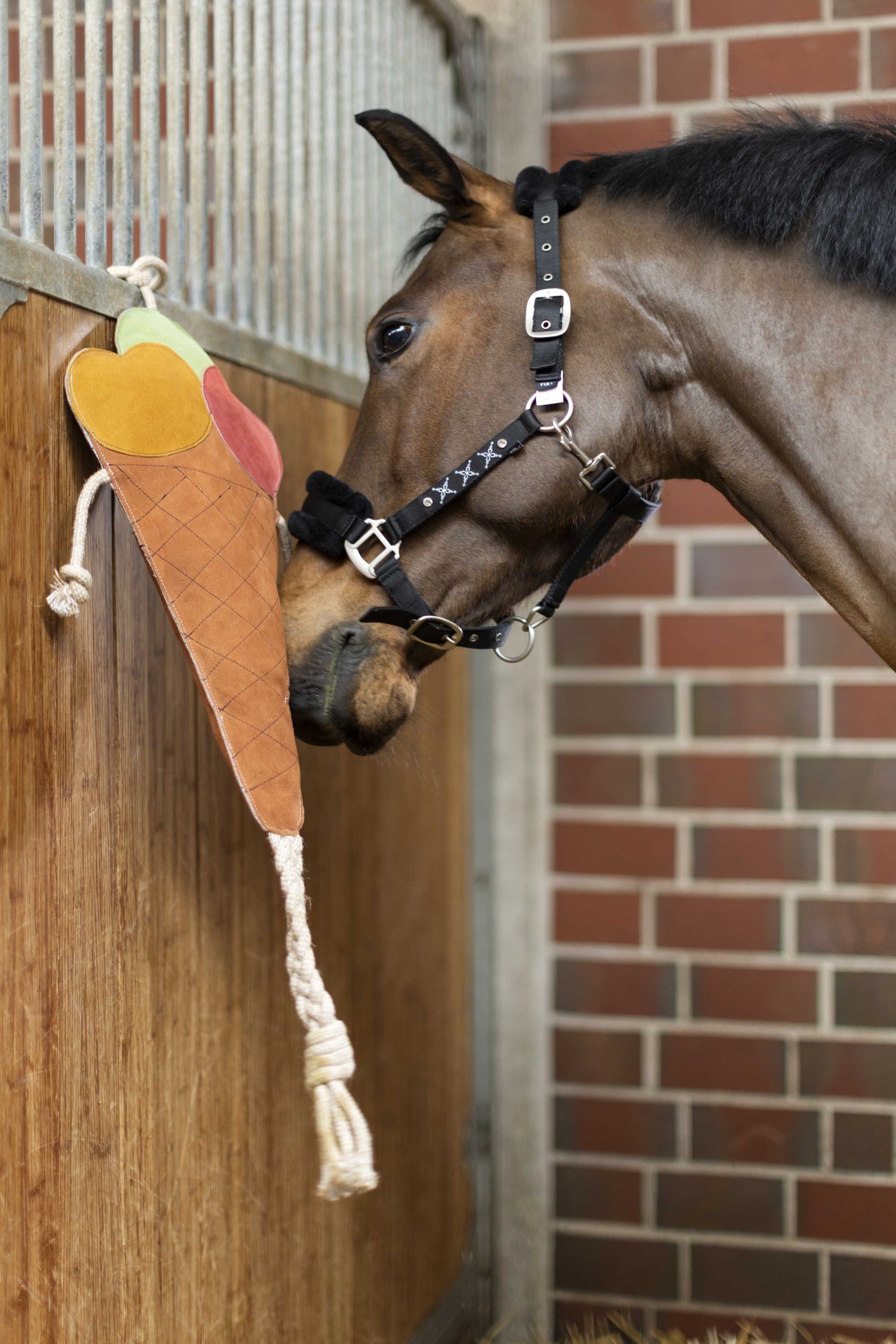 Juguetes para caballos Caballo Toys HKM Toy for Horses - Ice Cream para equitación - vista 3