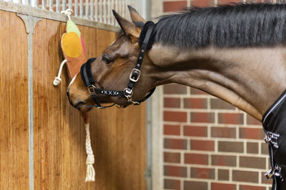 Juguetes para caballos Caballo Toys HKM Toy for Horses - Ice Cream para equitación - vista 4