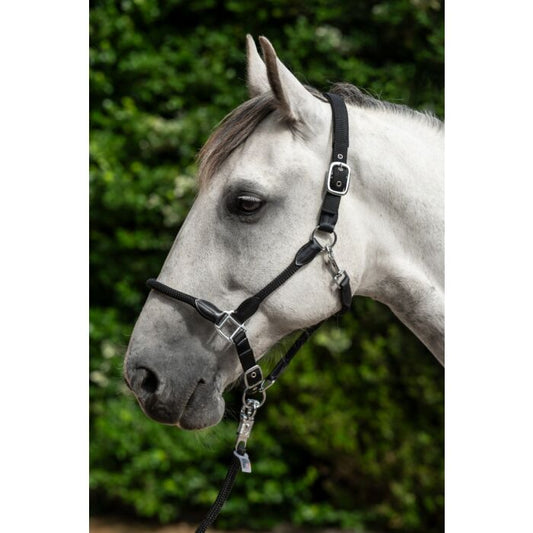 Cabezada de cuadra Set HKM Head collar -Carlotta para equitación