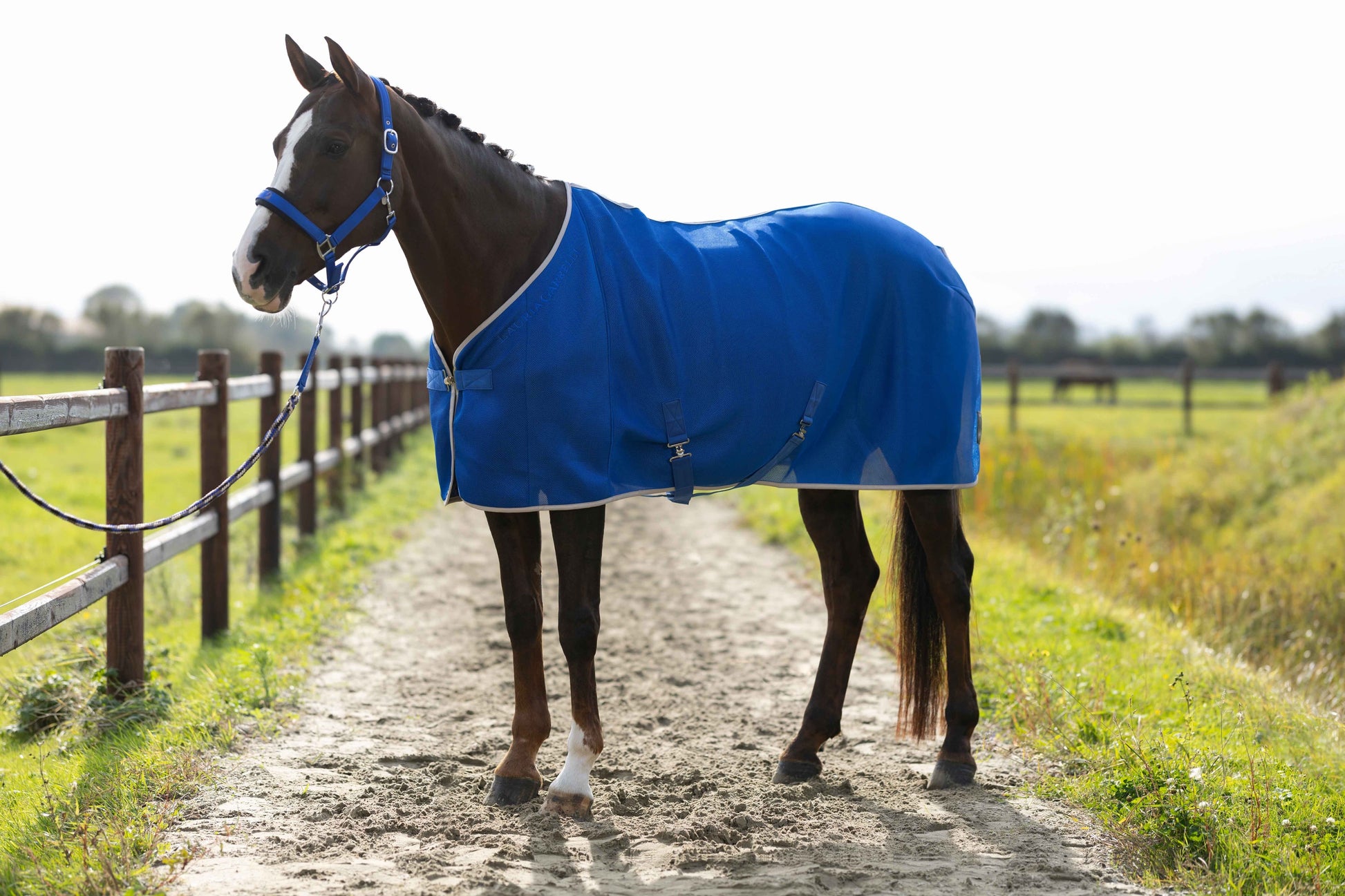 Manta para caballo Lauria Garrelli Fly Rug Amalfi vista principal