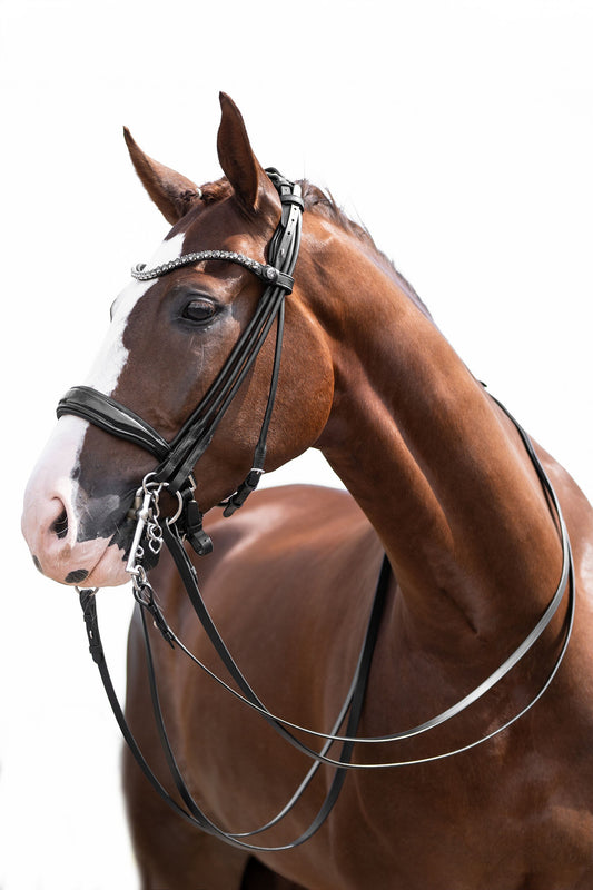 Cabezada doble -Kate HKM para equitación - vista 2