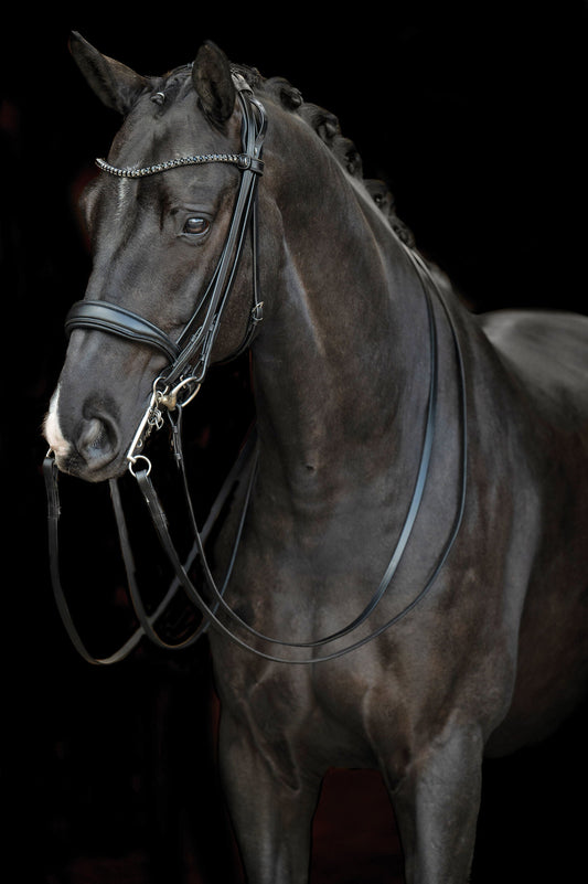 Cabezada HKM Double Bridle Grace para equitación - vista 2