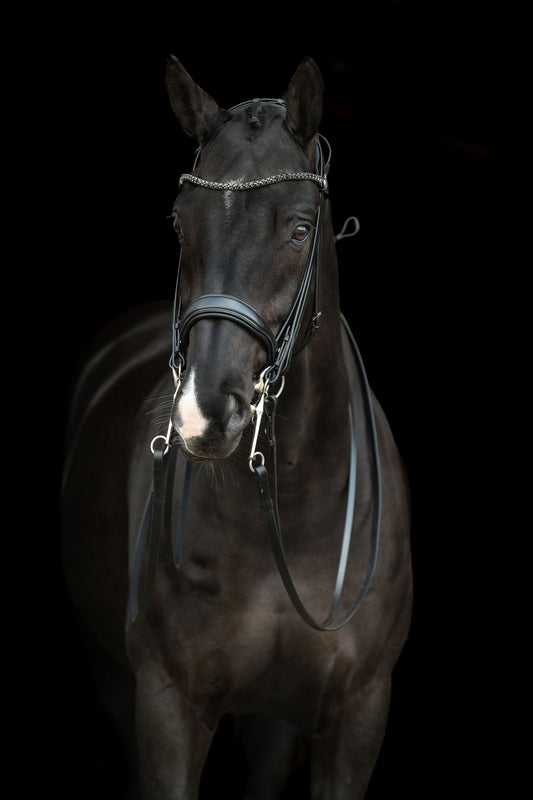 Cabezada HKM Double Bridle Grace para equitación