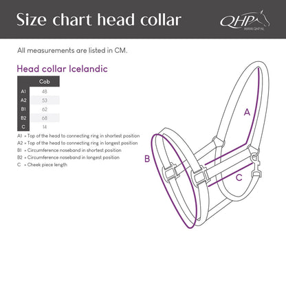 Cabezada de cuadra Head collar Icelandic QHP para equitación - vista 9