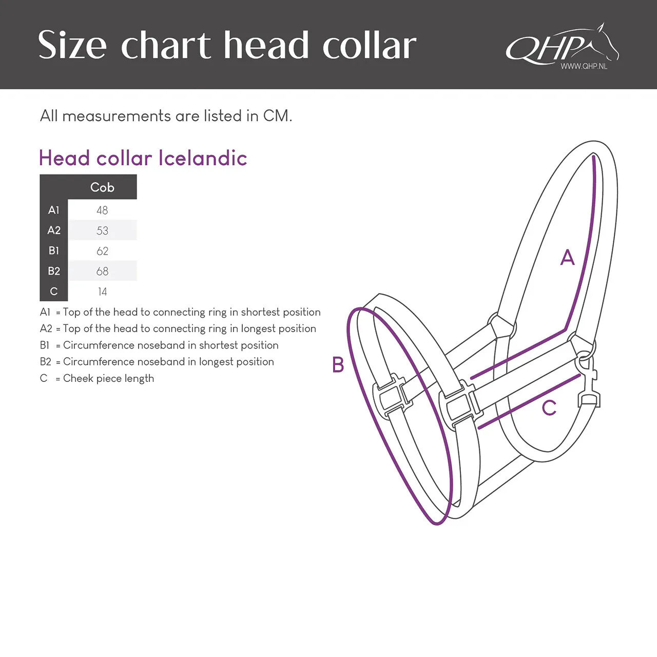 Cabezada de cuadra Head collar Icelandic QHP para equitación - vista 10