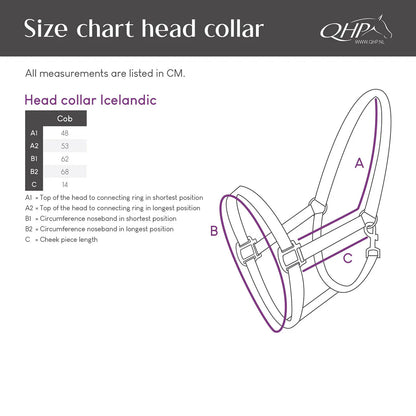 Cabezada de cuadra Head collar Icelandic QHP para equitación - vista 10