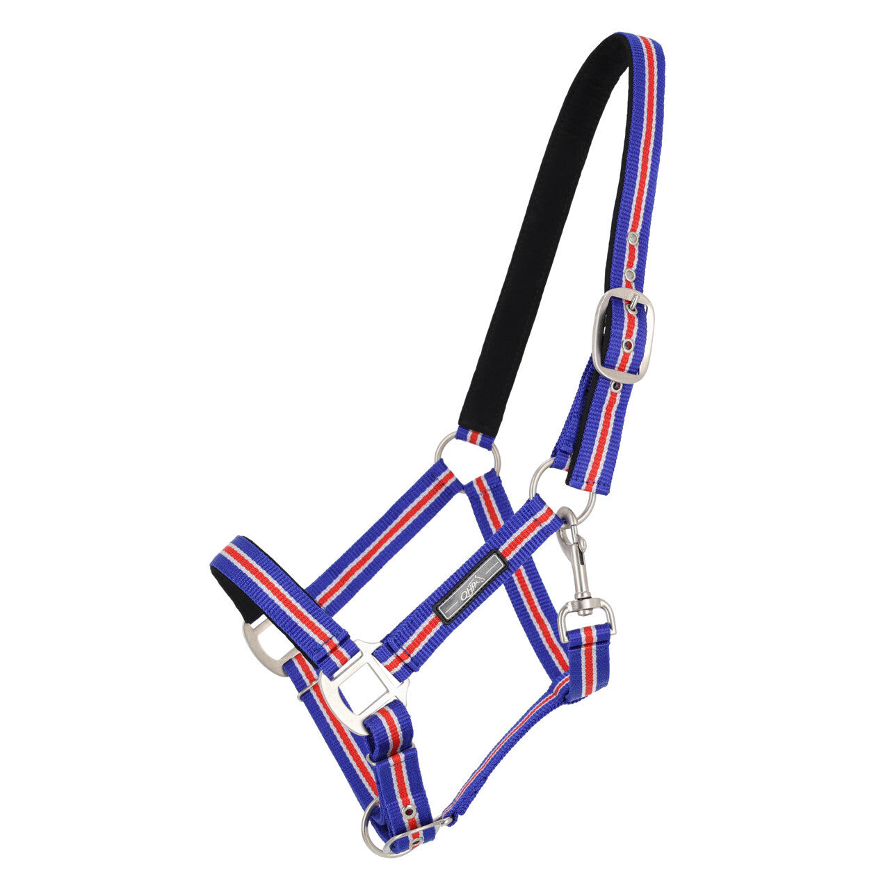 Cabezada de cuadra Head collar Icelandic QHP para equitación - vista 11