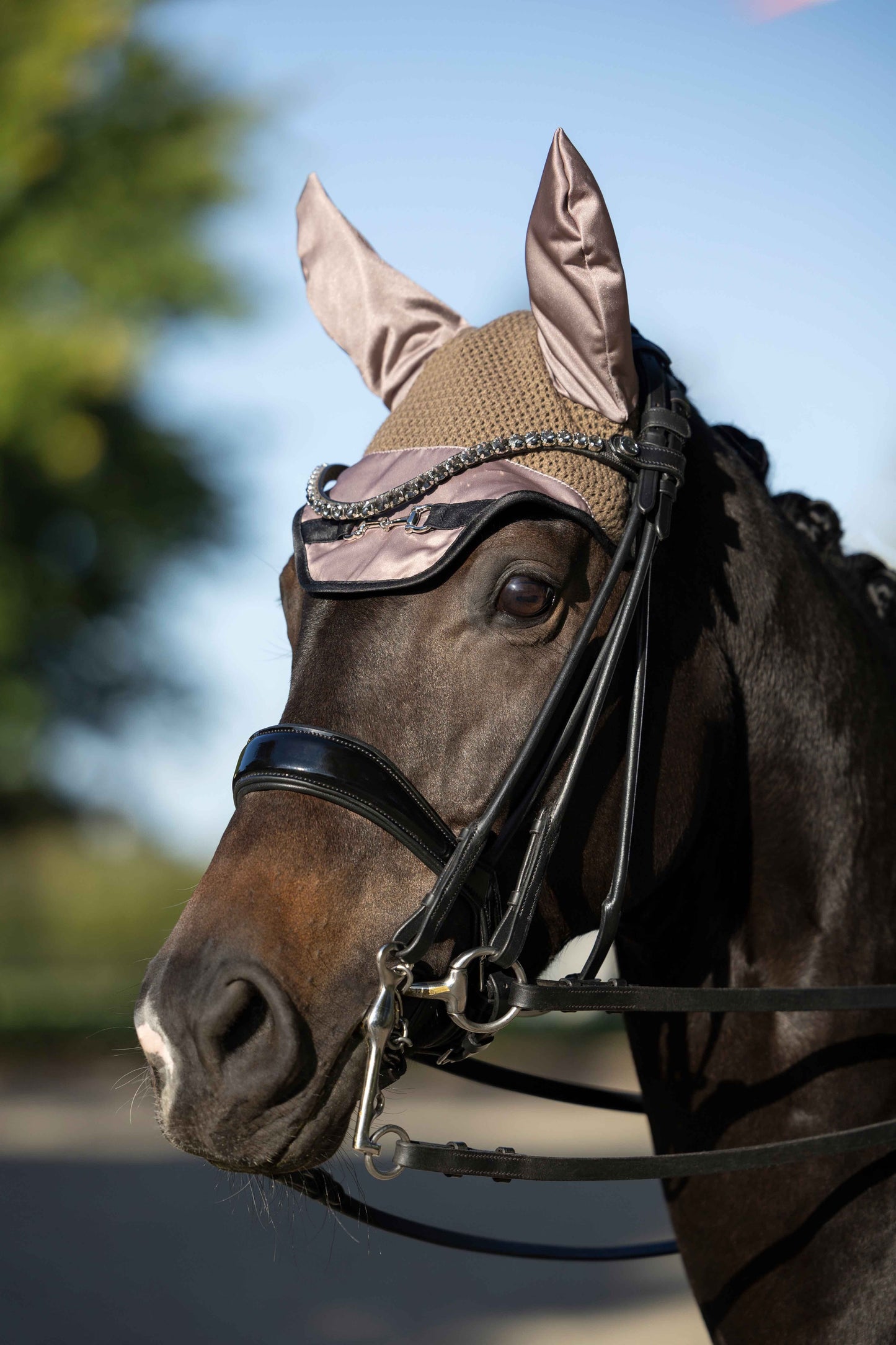 Ear Bonnets HKM Ear Bonnet Golden Bit detalle 6
