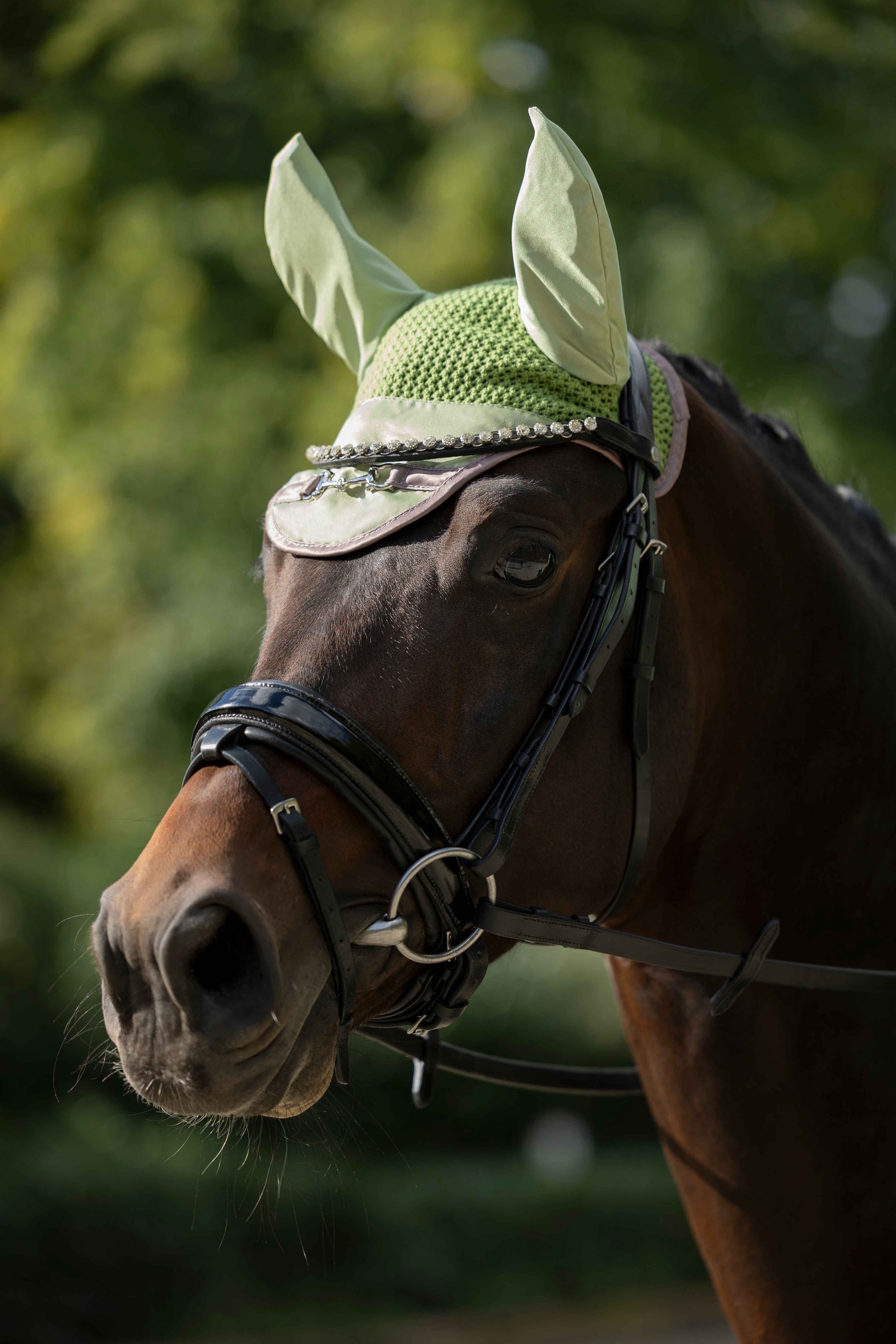 Ear Bonnets HKM Ear Bonnet Golden Bit detalle 4