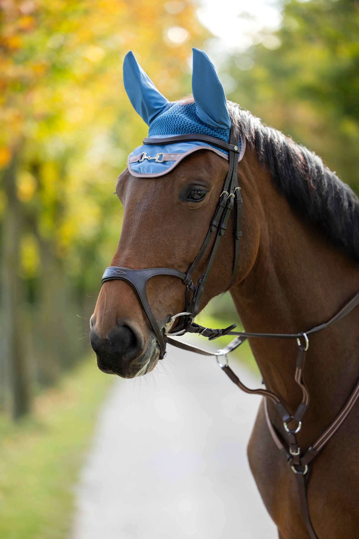 Ear Bonnets HKM Ear Bonnet Golden Bit detalle 8
