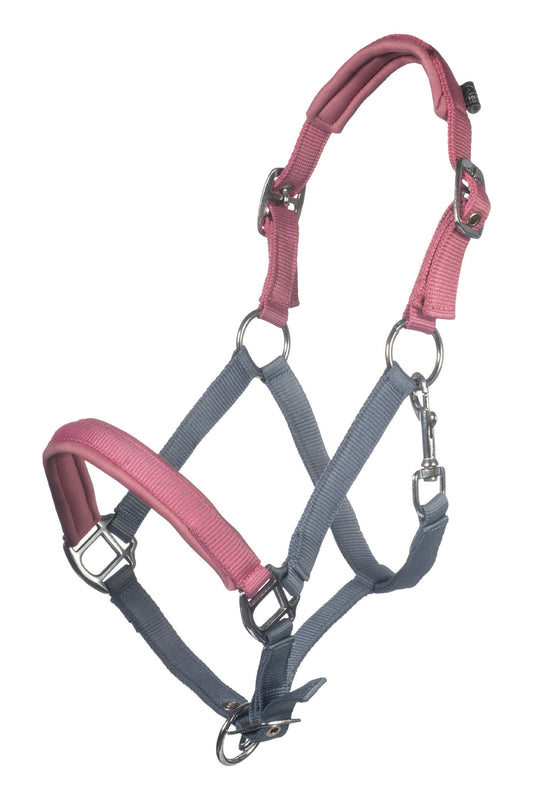 Cabezada -Barnie HKM para equitación