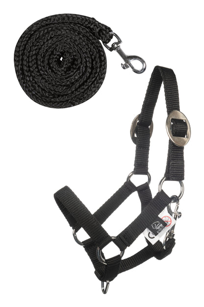 Cabezada y ramal -Hobby Horsing Basic HKM para equitación - vista 9