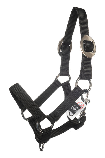 Cabezada y ramal -Hobby Horsing Basic HKM para equitación - vista 10