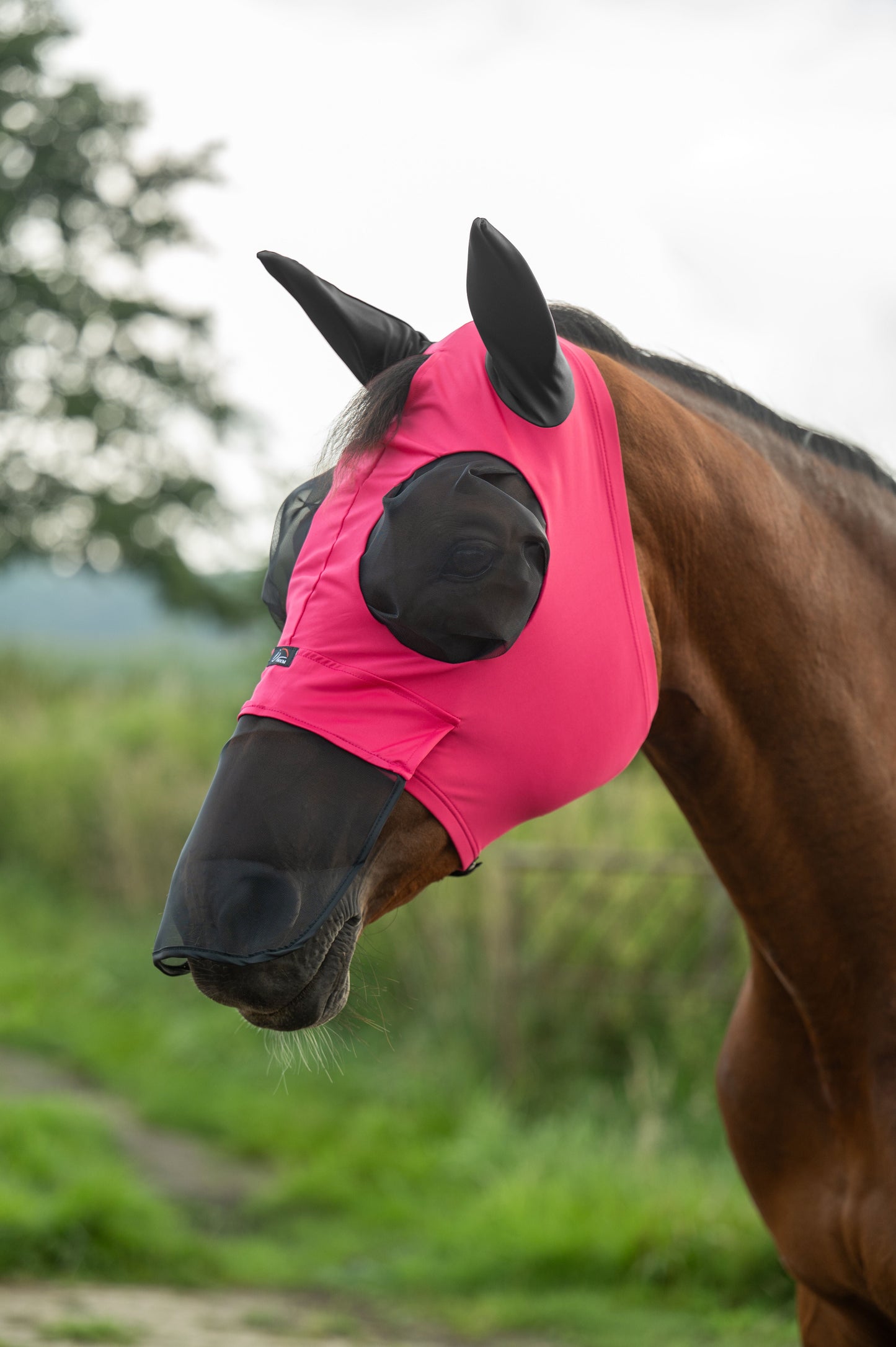 Máscara antimoscas HKM Anti máscara antimoscas Elastic con Nose Protection para equitación - vista 6
