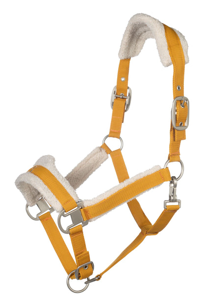 Halters Lauria Garrelli Head Collar Arezzo vista principal