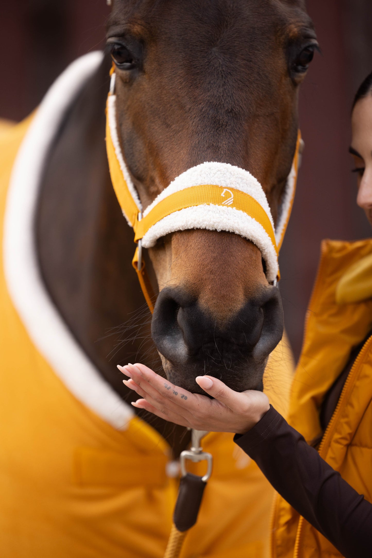 Halters Lauria Garrelli Head Collar Arezzo detalle 4