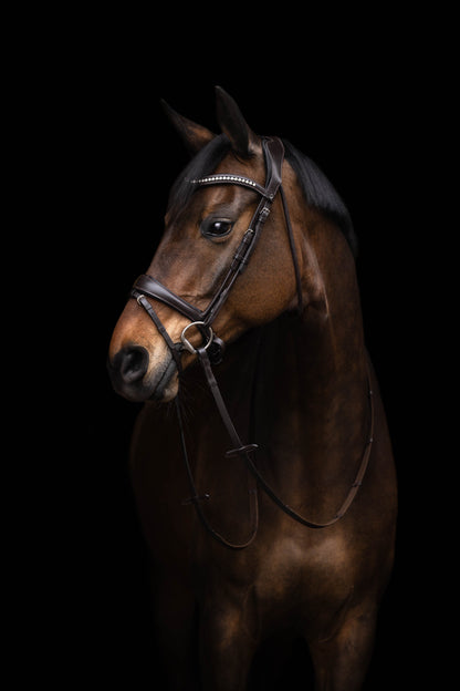 Cabezada Lauria Garrelli Bridle Arezzo para equitación - vista 4