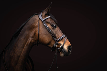 Cabezada Lauria Garrelli Bridle Arezzo para equitación - vista 3