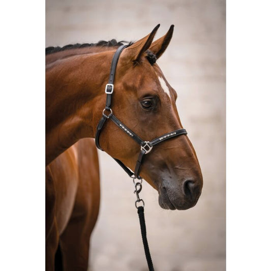 Leather cabezada de cuadras HKM Leather Head Collar Sparkle para equitación